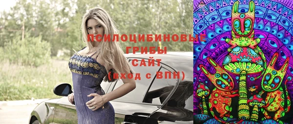 apvp Зерноград