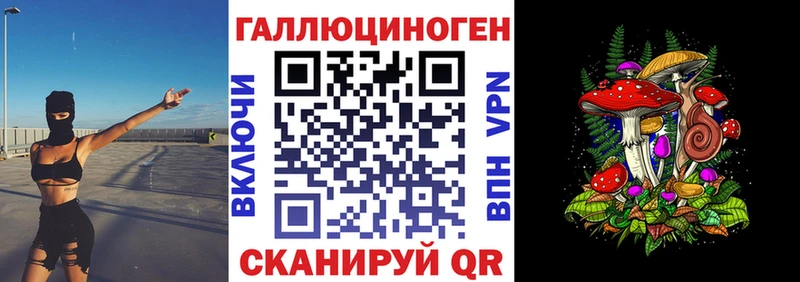 Псилоцибиновые грибы Psilocybe  Купить  Грязи 
